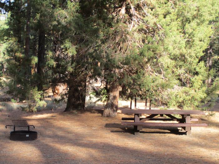 A photo of Site 050 of Loop LOO1 at GRASSHOPPER FLAT with Picnic Table, Fire Pit, Shade