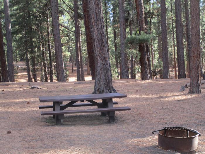 A photo of Site 051 of Loop LOO1 at GRASSHOPPER FLAT with Picnic Table, Fire Pit, Shade