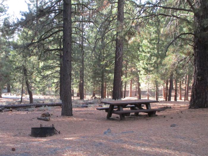 A photo of Site 055 of Loop LOO1 at GRASSHOPPER FLAT with Picnic Table, Fire Pit, Shade