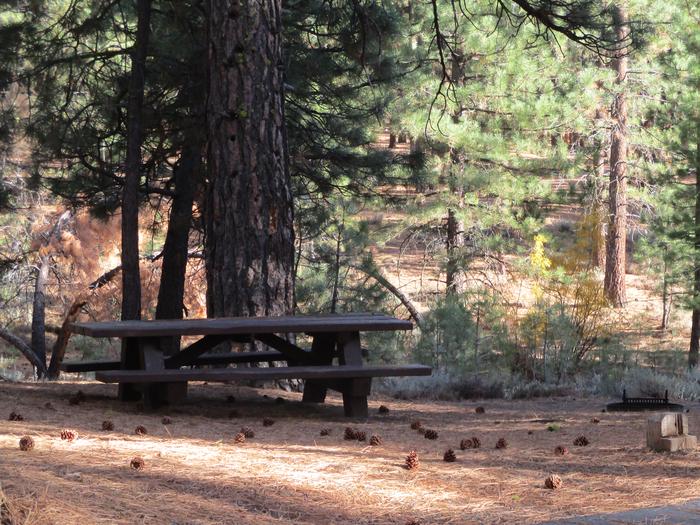 A photo of Site 058 of Loop LOO1 at GRASSHOPPER FLAT with Picnic Table, Fire Pit, Shade