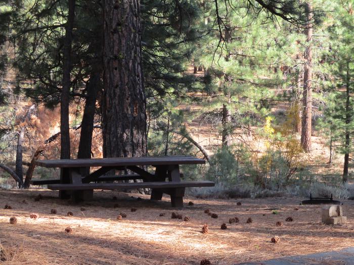 A photo of Site 059 of Loop LOO1 at GRASSHOPPER FLAT with Picnic Table, Fire Pit, Shade