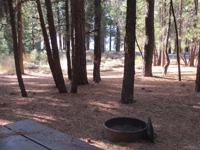 A photo of Site 060 of Loop LOO1 at GRASSHOPPER FLAT with Picnic Table, Fire Pit, Shade