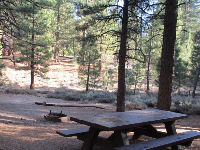 A photo of Site 061 of Loop LOO1 at GRASSHOPPER FLAT with Picnic Table, Fire Pit, Shade