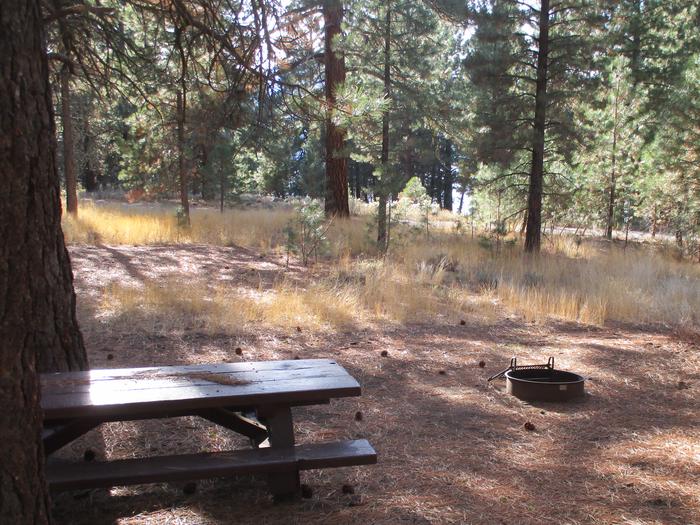 A photo of Site 062 of Loop LOO1 at GRASSHOPPER FLAT with Picnic Table, Fire Pit, Shade