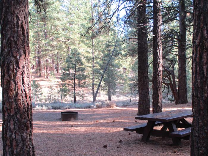 A photo of Site 063 of Loop LOO1 at GRASSHOPPER FLAT with Picnic Table, Fire Pit, Shade