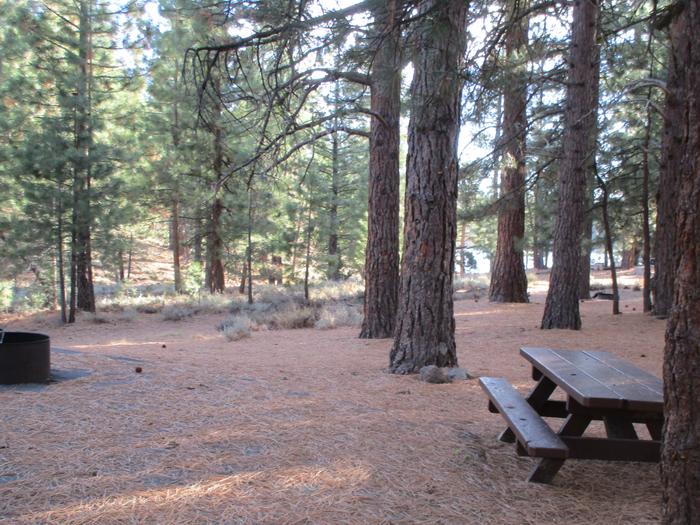 A photo of Site 064 of Loop LOO1 at GRASSHOPPER FLAT with Picnic Table, Fire Pit, Shade