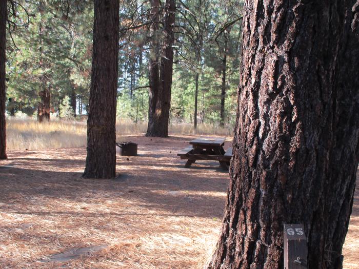 A photo of Site 065 of Loop LOO1 at GRASSHOPPER FLAT with Picnic Table, Fire Pit, Shade