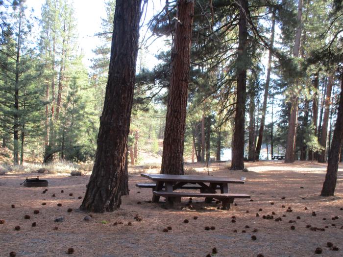 A photo of Site 066 of Loop LOO1 at GRASSHOPPER FLAT with Picnic Table, Fire Pit, Shade