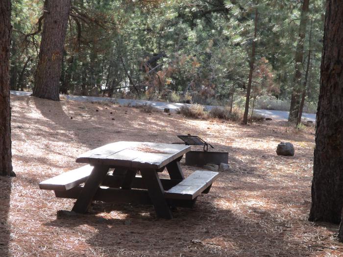 A photo of Site 067 of Loop LOO1 at GRASSHOPPER FLAT with Picnic Table, Fire Pit, Shade