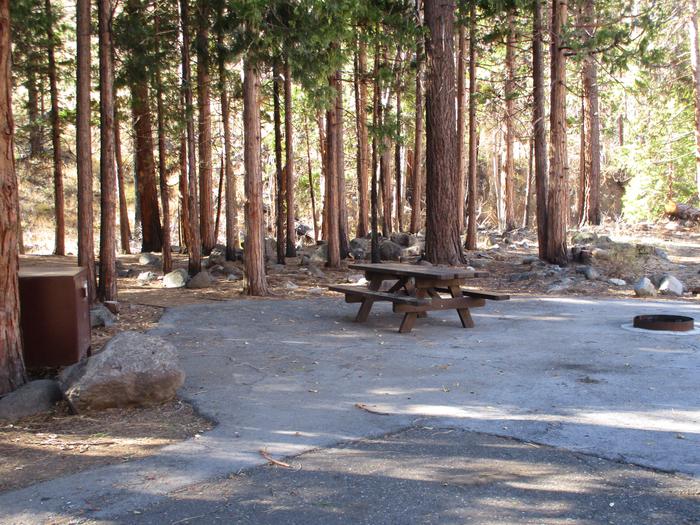 A photo of Site 3 at Chilcoot Campground