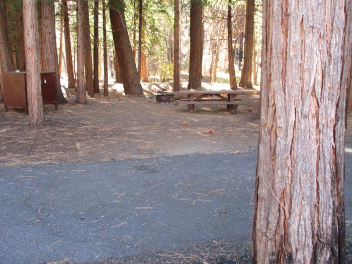 A photo of Site 5 at Chilcoot Campground