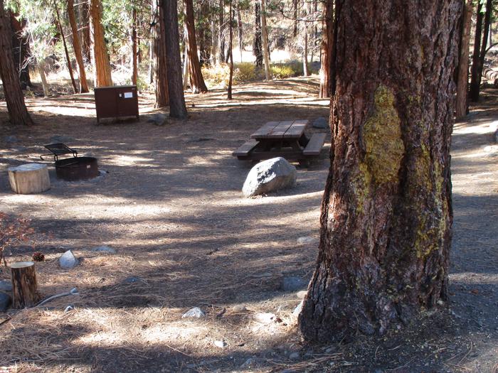 A photo of Site 7 at Chilcoot Campground