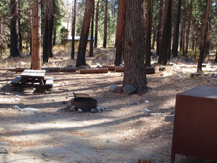 A photo of Site 8 at Chilcoot Campground