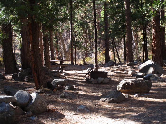 A photo of Site 9 at Chilcoot Campground