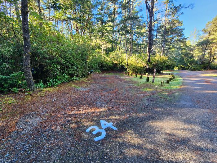 Eel Creek Campground Site #34