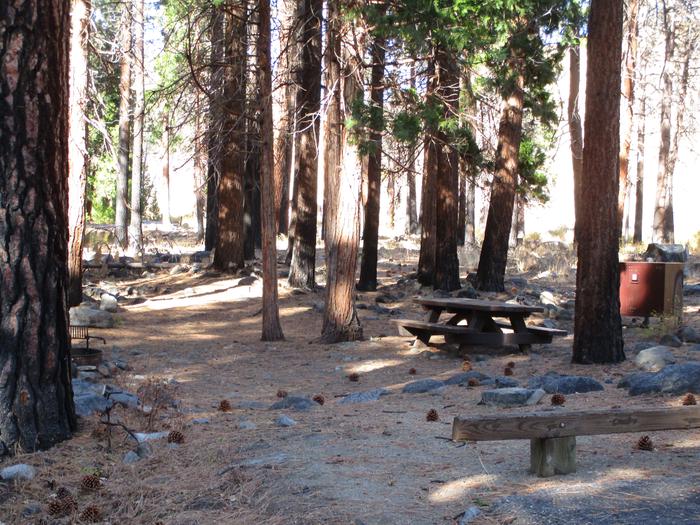 A photo of Site 11 at Chilcoot Campground