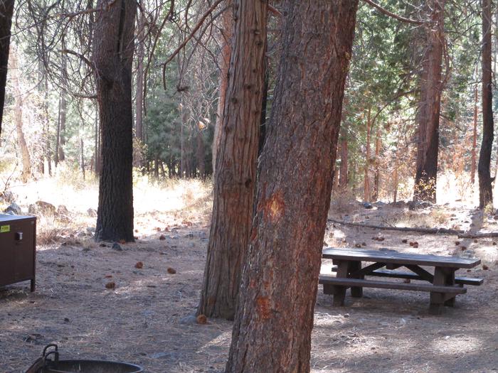 A photo of Site 12 at Chilcoot Campground