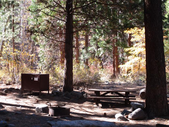 A photo of Site 20 at Chilcoot Campground