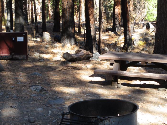 A photo of Site 22 at Chilcoot Campground