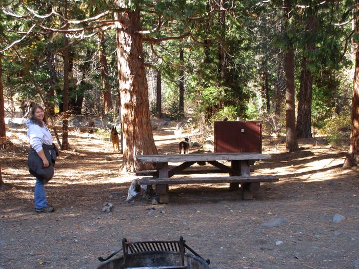 A photo of Site 28 at Chilcoot Campground