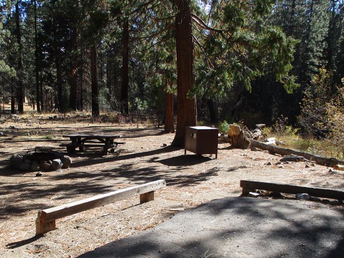 A photo of Site 29 at Chilcoot Campground