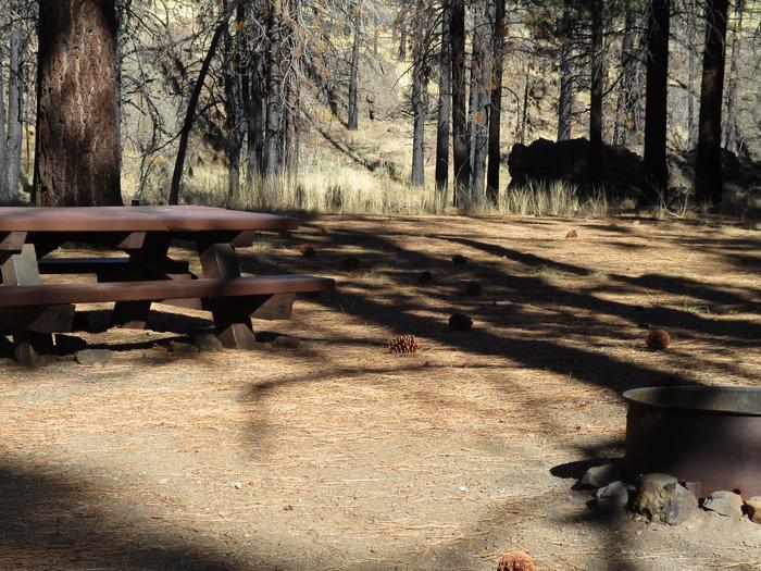 A photo of Site 1 at Cottonwood Springs Campground