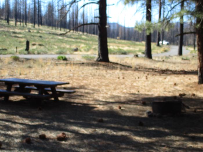 A photo of Site 2 at Cottonwood Springs Campground