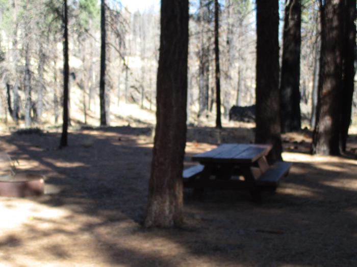 A photo of Site 3 at Cottonwood Springs Campground