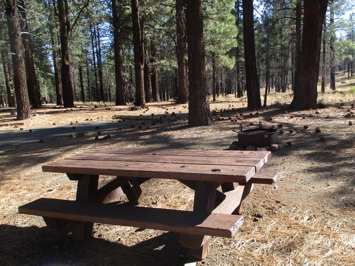 A photo of Site 4 at Cottonwood Springs Campground