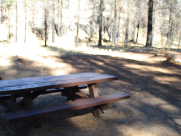 A photo of Site 5 at Cottonwood Springs Campground