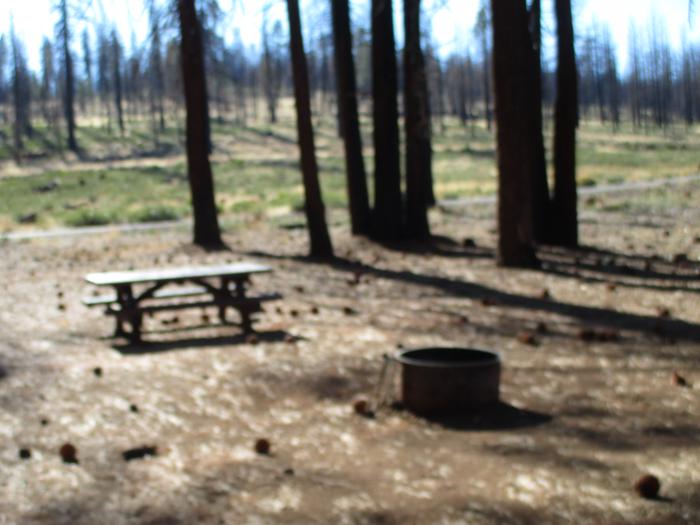 A photo of Site 6 at Cottonwood Springs Campground