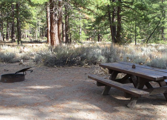 Site 13 at LIGHTNING TREE Campground with Picnic Table, Fire Pit, Shade