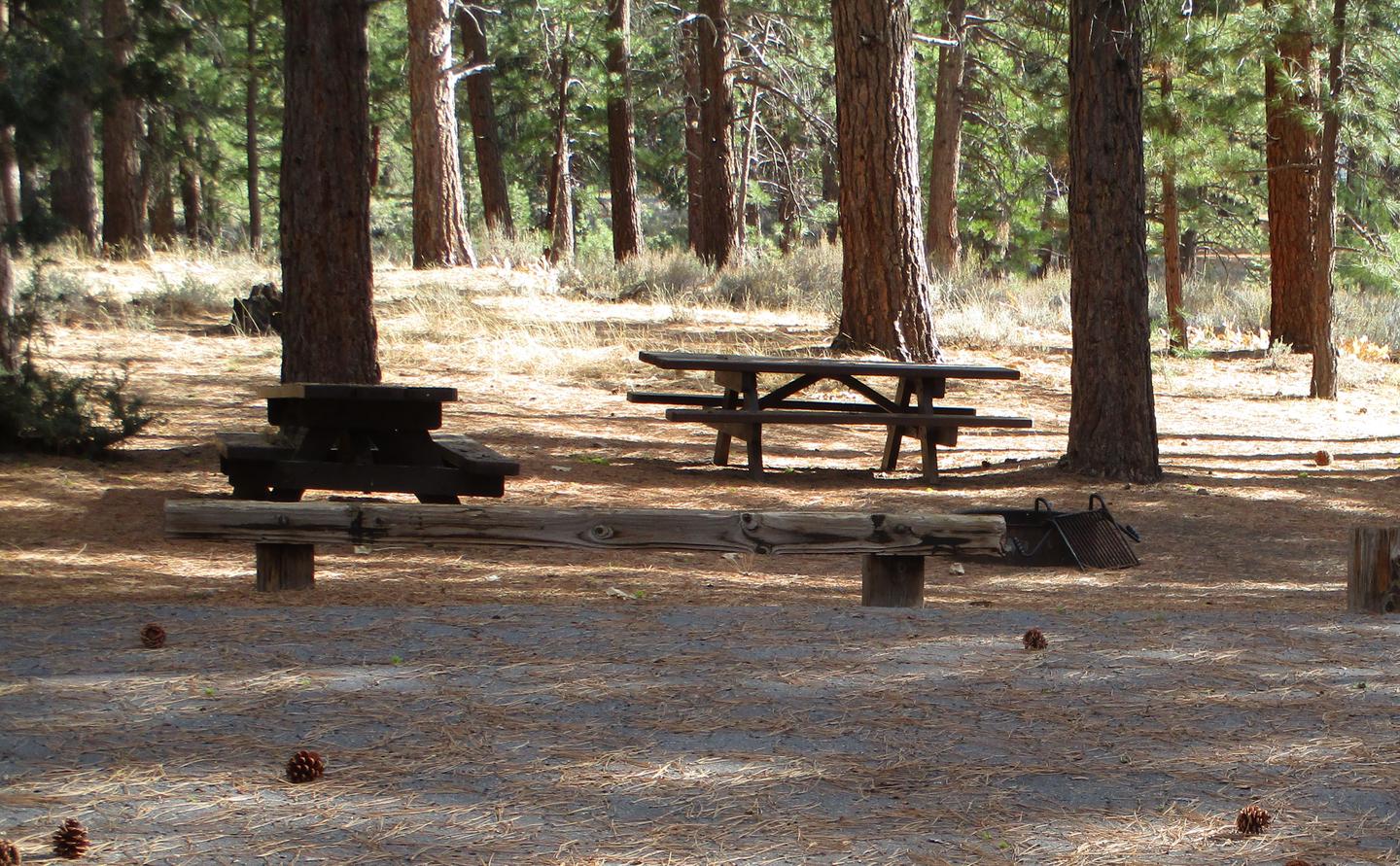 Site 17 at LIGHTNING TREE Campground with Picnic Table, Fire Pit, Shade