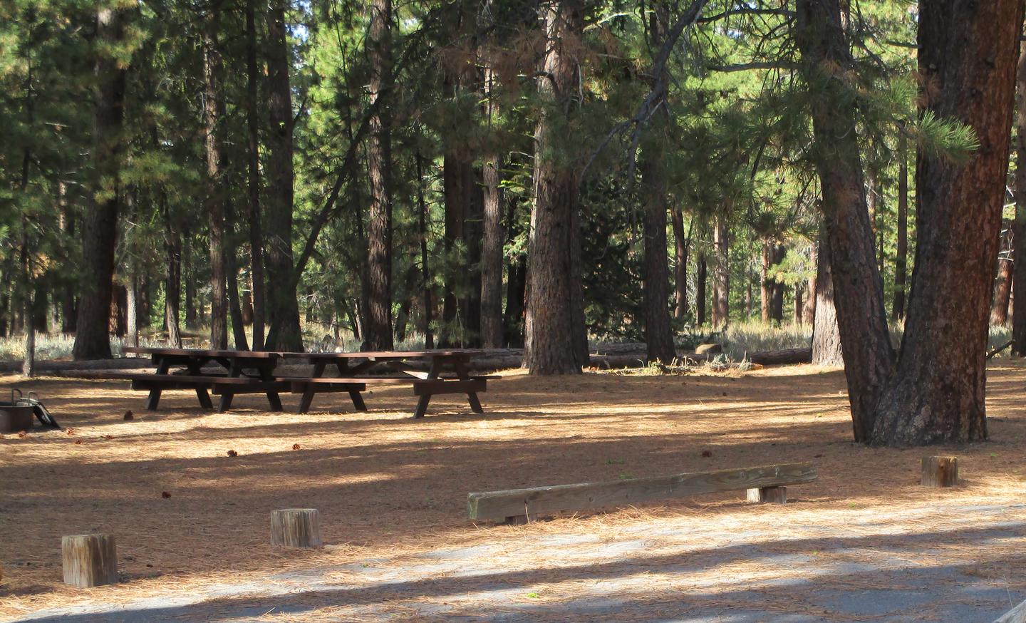 Site 30 at LIGHTNING TREE Campground with Picnic Table, Fire Pit, Shade