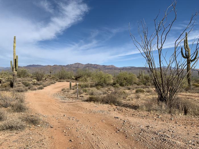 Preview photo of Tonto National Forest Ohv Permit