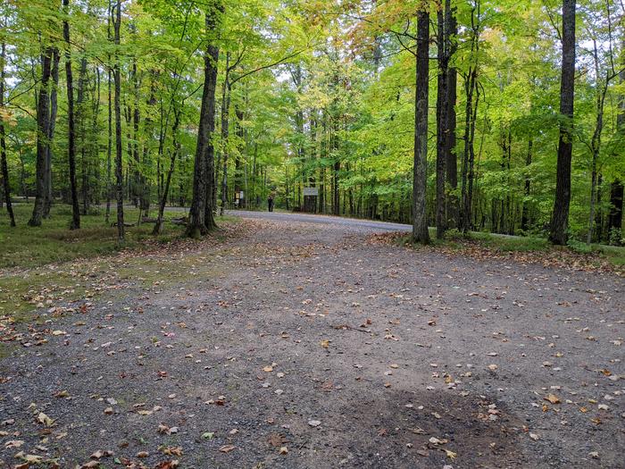 Site 23 view towards road