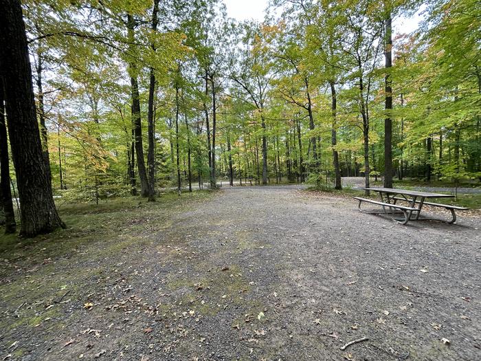 Site 27 view towards road