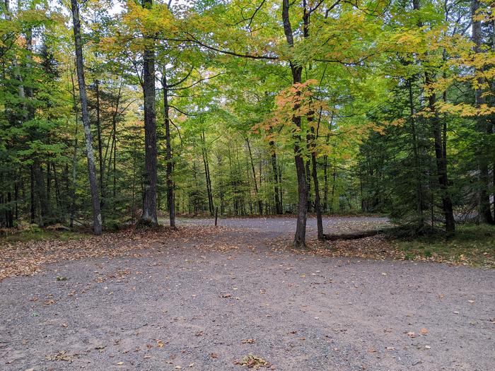 Site 30 view towards road