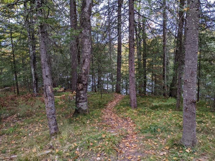 Site 34 trail to lake