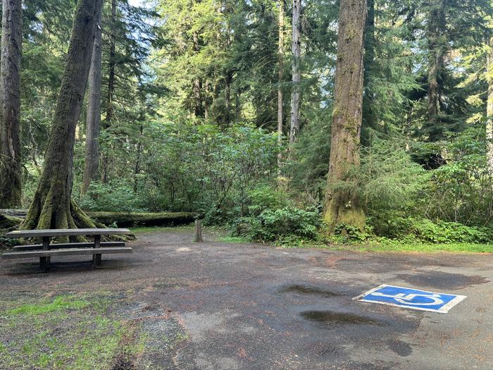 Campsite with picnic table and fire ring. Campsite B 21