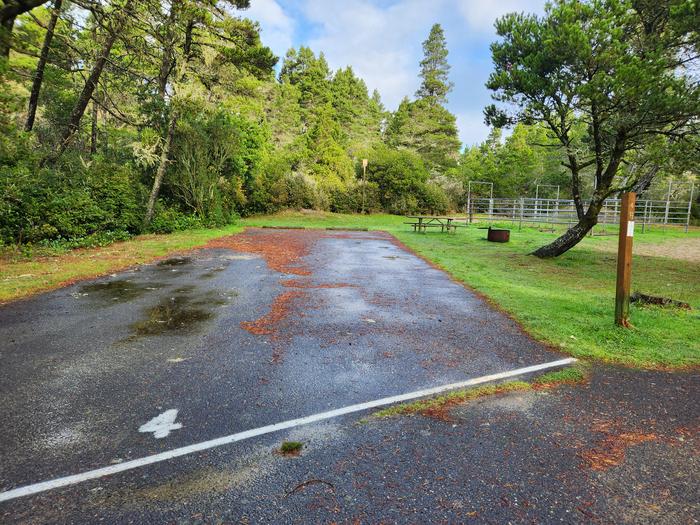 Wild Mare Campground Site #4