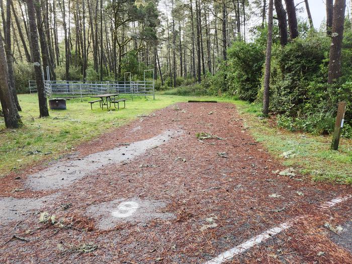 Wild Mare Campground Site #9