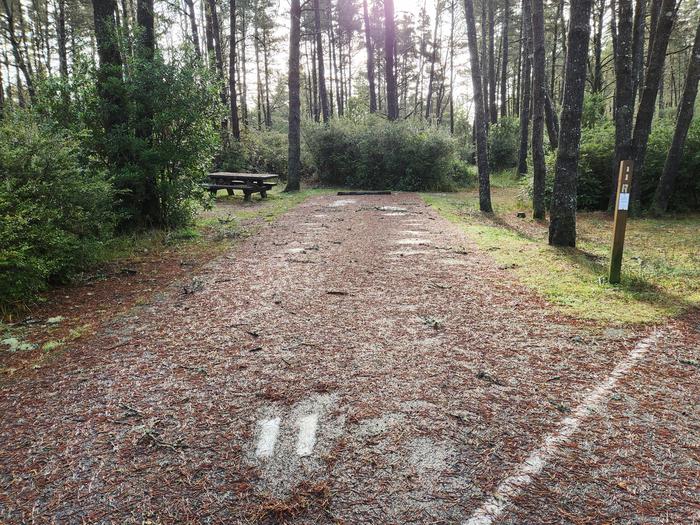 Wild Mare Campground Site #11