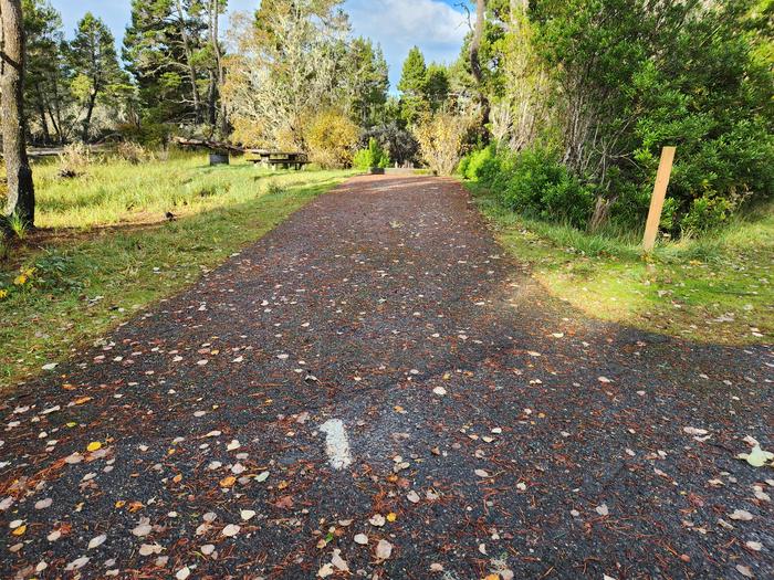 Bluebill Campground Site #1