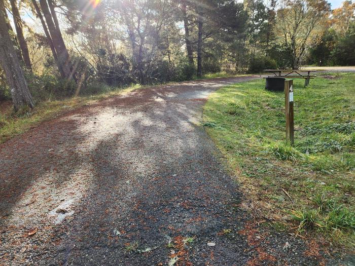 Bluebill Campground Site #4