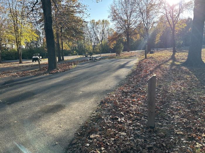 A photo of Site 20 of Loop SOUTH LOOP at Dam East - McNair Campground
