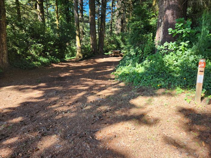 Tahkanitch landing campsite 14