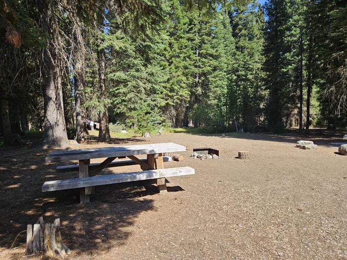 Site A03 at the Diamond Lake Campground