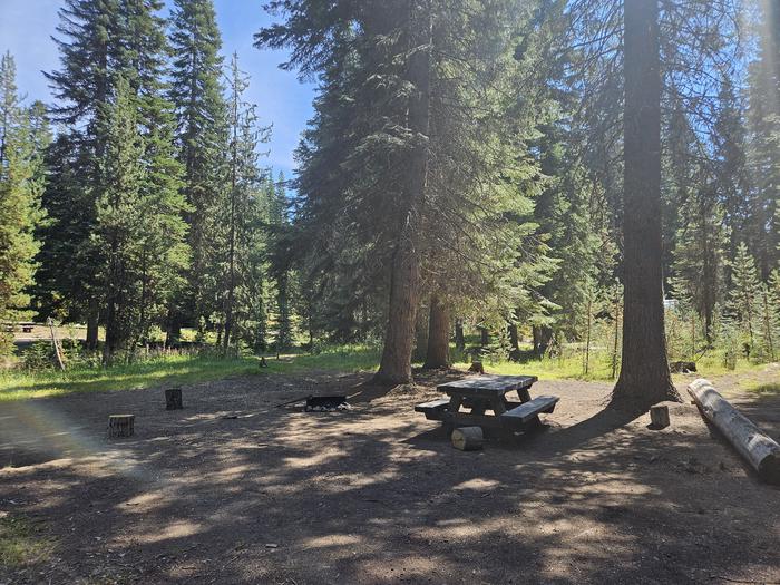 Campsite A04 at Diamond Lake Campground