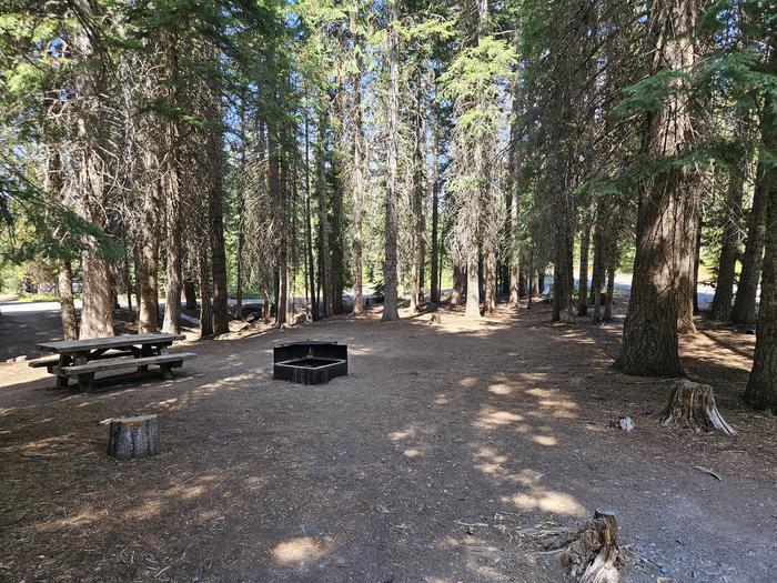 Campsite A07 at the Diamond Lake Campground